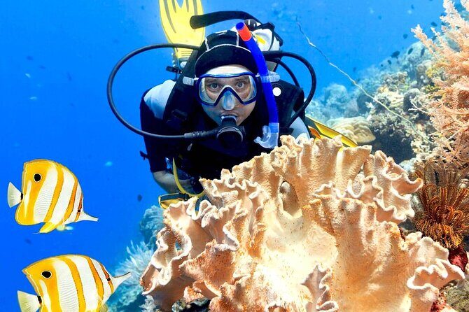 Professionals Scuba Diving 2 Stops Full Day Sea Trip - Hurghada - What You’ll Experience: An In-Depth Breakdown