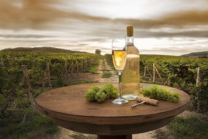 Provence Organic Wine Tasting Half Day Tour from Nice - Practical Aspects to Keep in Mind