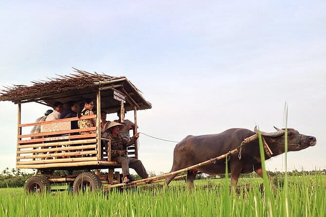Pu Luong: 3-Day Adventure with Trekking, Cycling & Cooking Class - The Complete Breakdown of the 3-Day Itinerary