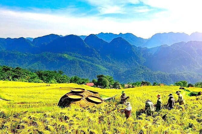Pu Luong Insight Half Day of Nature and Culture Discovery - An In-Depth Look at the Itinerary