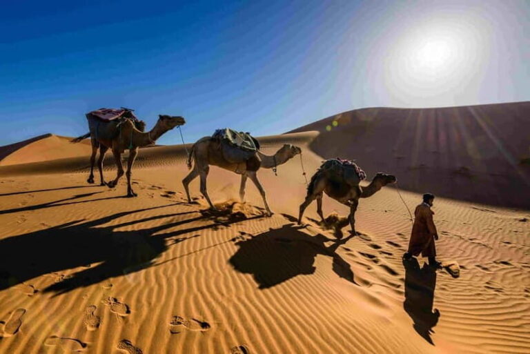 Pushkar: Camel Sunset Safari Adventure - Experience Breakdown