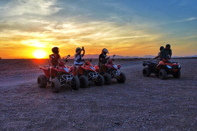 Quad Adventure in Palmeraie - The Value of the Experience