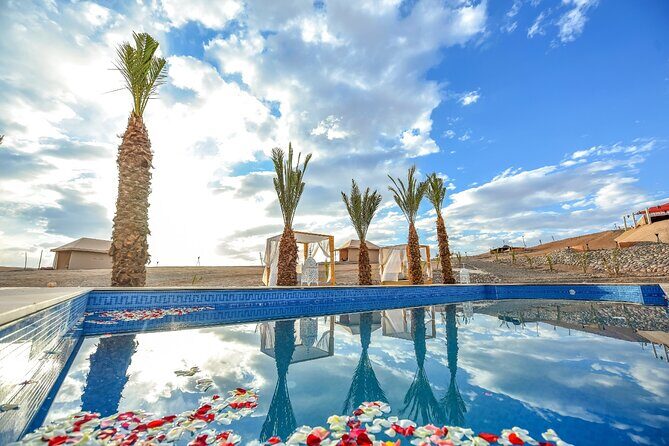 Quad and Camel Ride in the Agafay Desert with Swimming Pool - What the Tour Includes and What to Consider