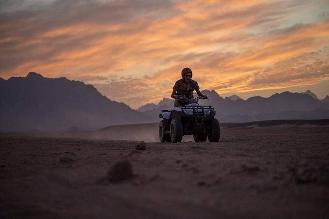 Quad Bike 3 hours - Authentic Reviews — What Travelers Say