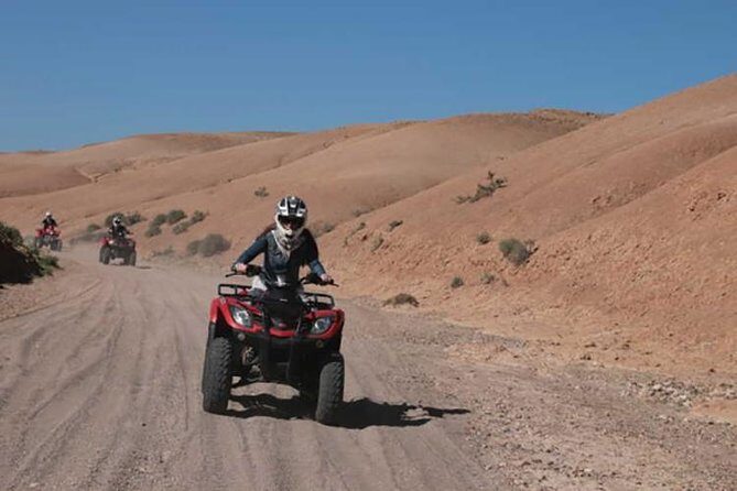 Quad bike and camel ride in the palm grove - Real Experiences from Travelers