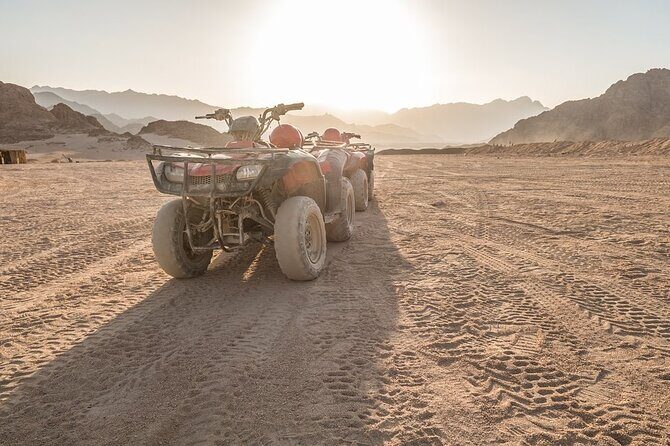 Quad Bike Desert Adventure in Sharm El Sheikh - The Bedouin Campsite Experience