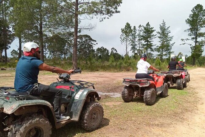 Quad Bike Fun Ride in The Crags, Plettenberg Bay - The Scenery & Environment
