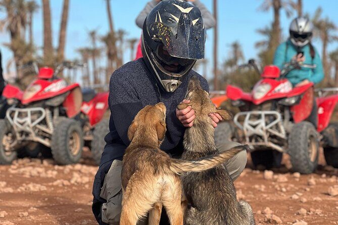 Quad Bike Tour in Marrakech's Palmeraie Desert with Hotel Pick up - What to Expect: The Itinerary in Detail