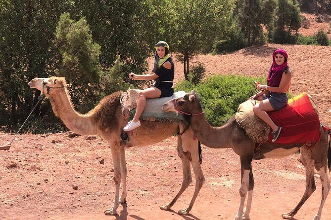 Quad Biking and Camel Ride Guided Day Trip from Marrakech - What Travelers Say: Authenticity and Guides