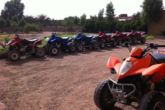 quad biking and camel ride in Marrakech palmerie - A Closer Look at the Marrakech Palmeraie Quad and Camel Tour