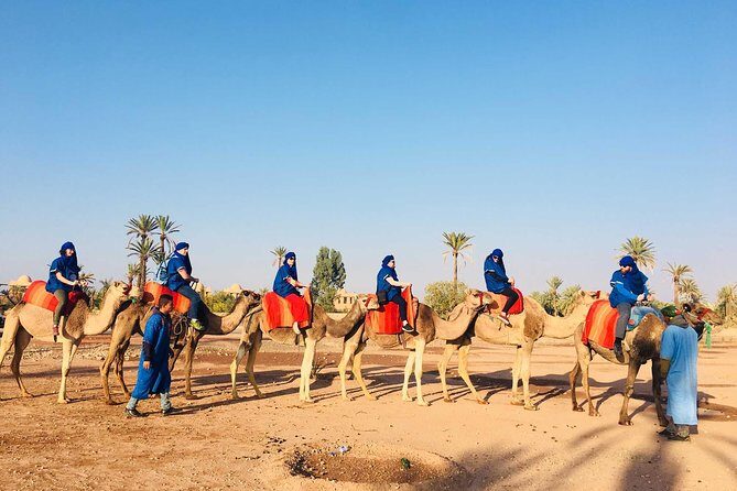 Quad Biking & Dromedary Riding - Final Thoughts