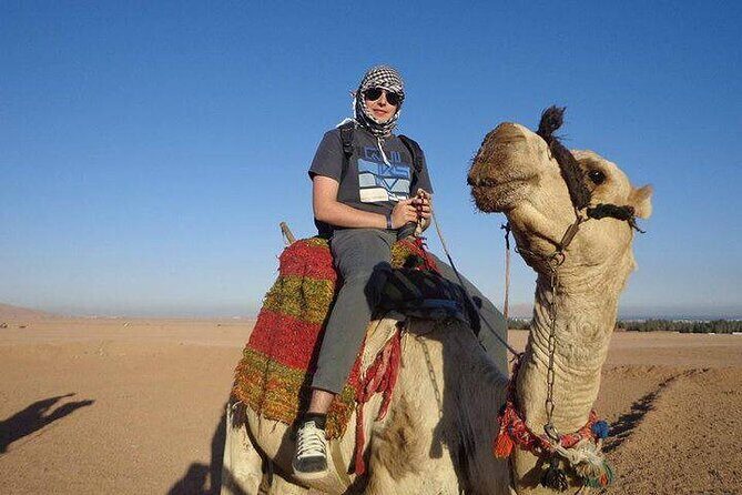 Quad Biking Safari-Camel Ride-Bedouin Dinner and Shows From Sharm - Who Will Love This Tour?