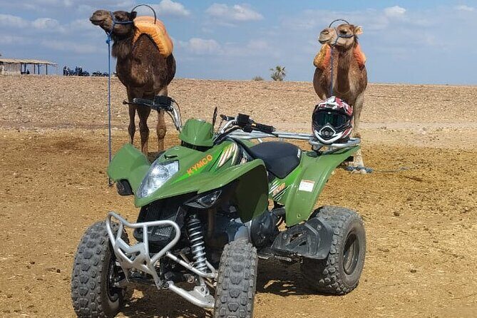 Quad in the Palmeraie of Marrakech - Who Will Love This Tour?