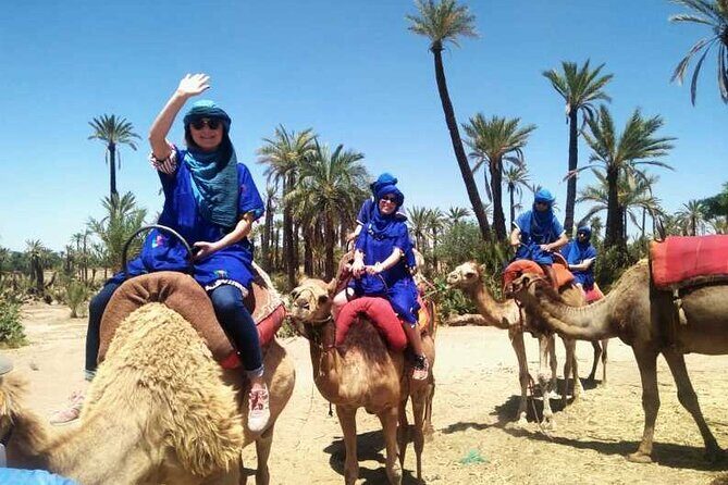 Quad palmeraie Marrakech et balade chameau transport inclus - The Value of the Experience