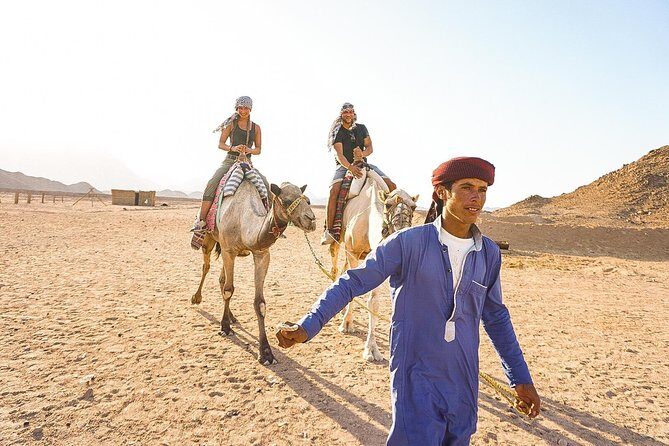 Quad Safari Trip - The Experience from the Traveler’s Perspective