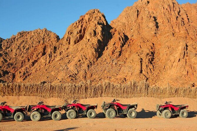 Quad with Camel Ride & Bedouin village From Marsa Alam - What Travelers Say
