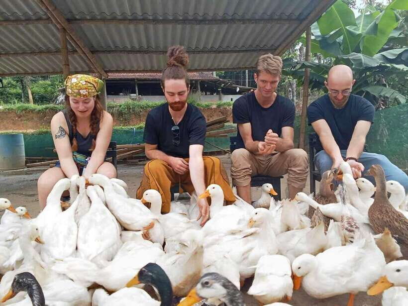 Quang Binh: Explore Phong Nha Cave and Experience Rural Life - What Makes This Tour Stand Out?