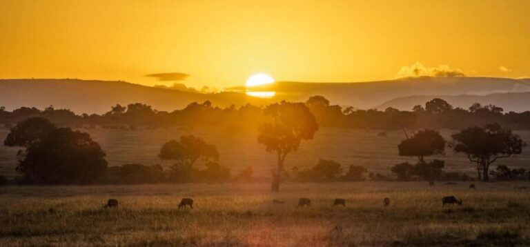 Queen Elizabeth National Park Day Safari - The Value Proposition