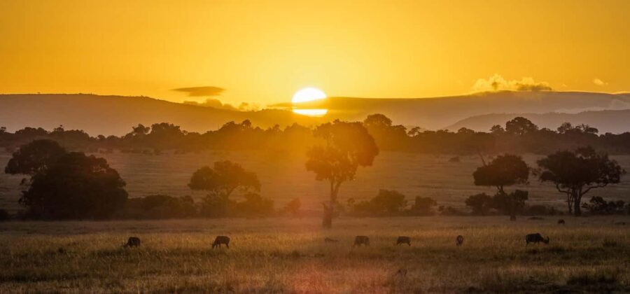 Queen Elizabeth National Park Day Safari