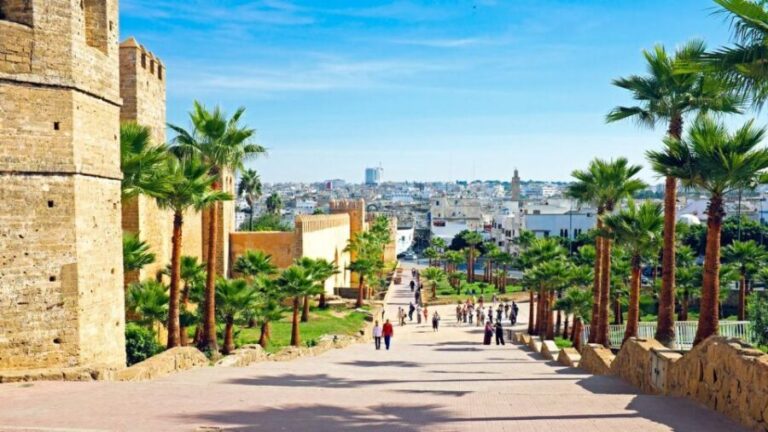 Rabat: Private Guided City Walking Tour - Who Is This Tour Best Suited For?