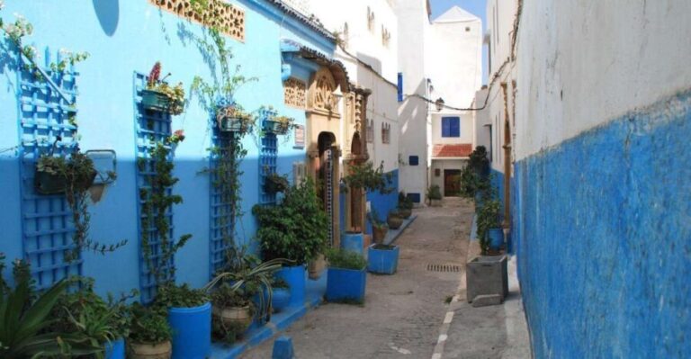 Rabat Private Walking Tour - Final Thoughts