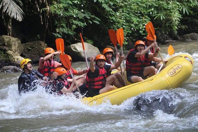 Rafting Swing Monkey Forest And Waterfall Tour All Inclusive - Authentic Experiences and Guest Insights
