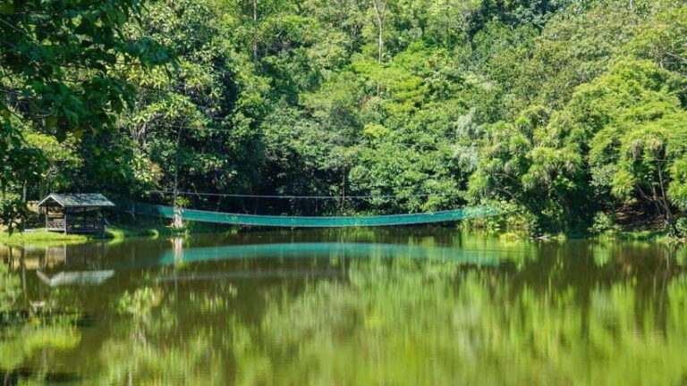 Rainforest Tour, Labuk Bay, Sun Bear & Sepilok | Sandakan - Practical Details and What to Expect
