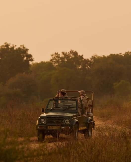 Ranthambhore: Ranthambhore Tiger Reserve Booking - Practical Details and Tips