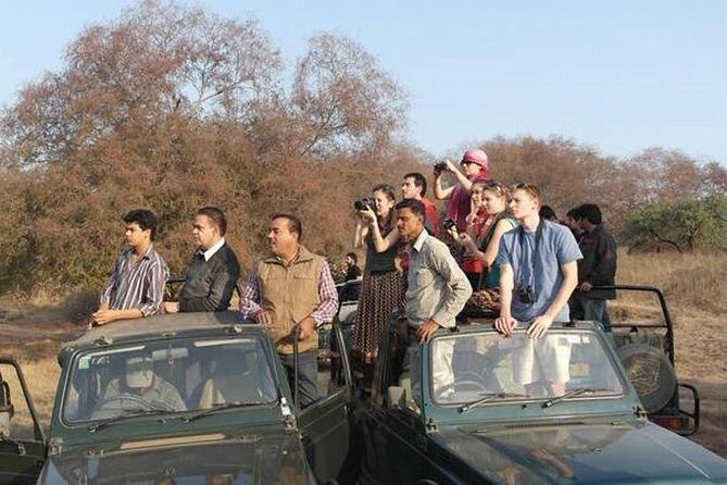 Ranthambore Safari | Bird Watching | Agra & Delhi from Jaipur - Detailed Breakdown: What Travelers Can Expect