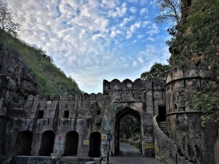 Ranthambore Tiger Safari Day Trip with Fort Tour & Lunch - Practical Tips for Travelers