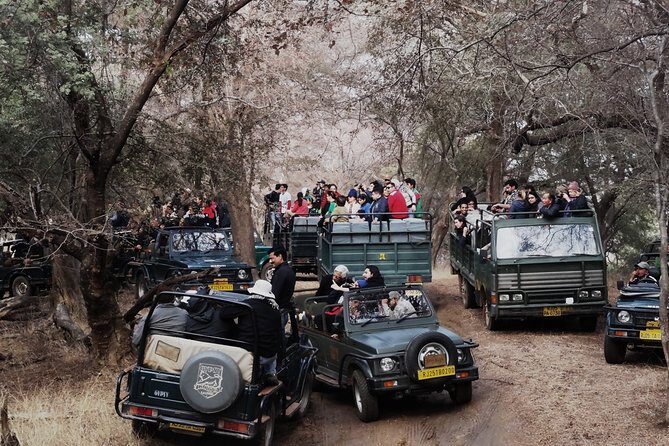 Ranthambore Tiger Safari In Canter 20 Seater All Inclusive visits - Practical Details and Considerations