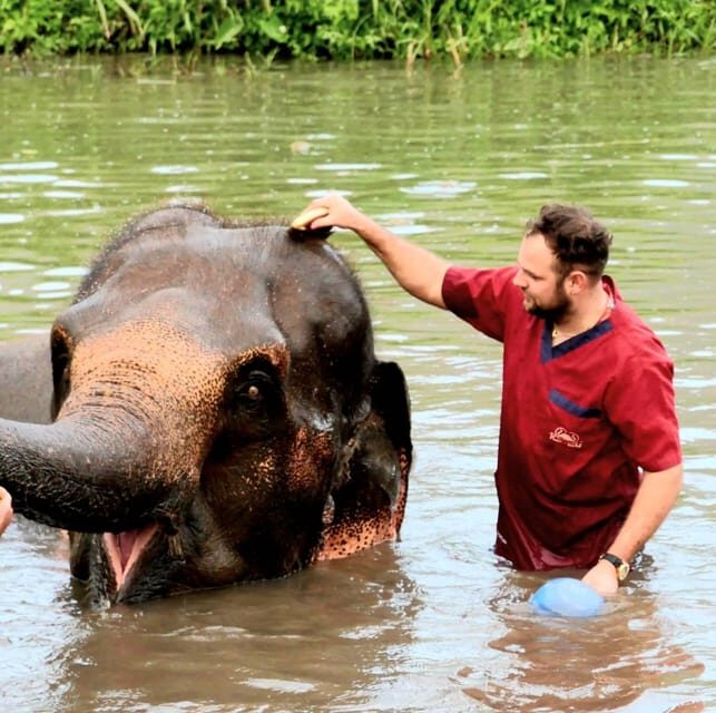 Rantong elephant sanctuary Chiangmai - What to Expect from the Tour