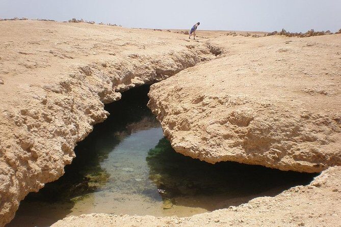 Ras Mohamed National Park Half Day Bus Trip From Sharm El Sheikh - Who Should Book This Tour?