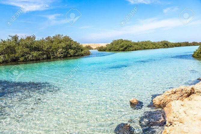 Ras Mohamed National Park Half Day by Bus - Sharm El Sheikh - What to Expect on the Tour
