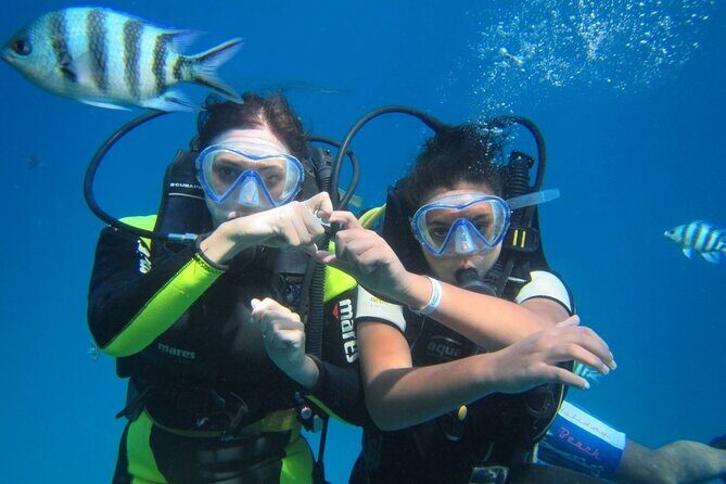 Ras Mohamed White Island Snorkeling Diving