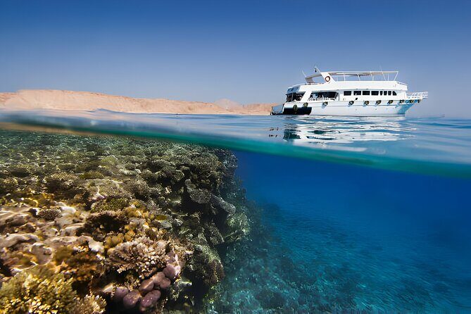 Ras Mohamed, White Island Trip, Two Stops Diving -Sharm El Sheikh - Practical Tips for Booking and Participating