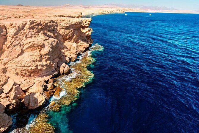 Ras Mohammed Diving & White Island Luxurious Cruise with Lunch - Who Is This Tour Best For?