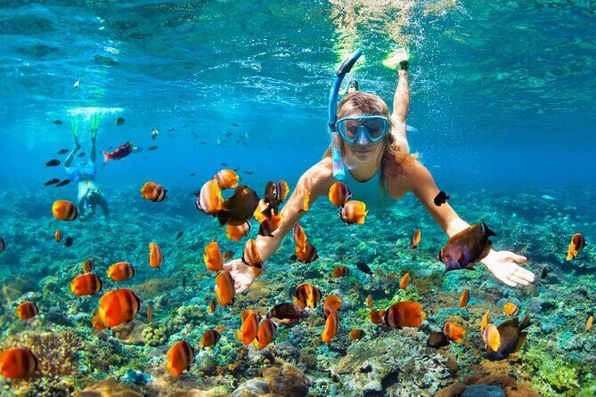 Ras Mohammed national park by bus + Snorkeling - Who Will Love This Tour?