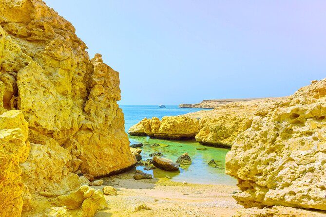 Ras Mohammed National Park Half Day Tour by Bus From Sharm - Why This Tour Works Well