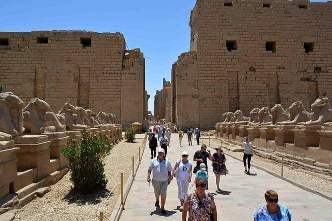 Real Life Egypt Shore Excursions from Safaga to Luxor Day Trip - Who Should Book This Tour?