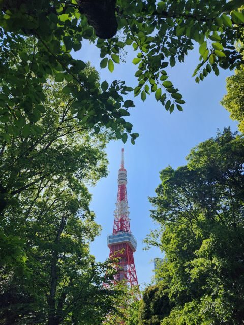 Real Tokyo in one day with a local - What’s Included and What’s Not
