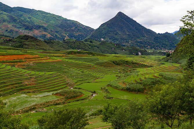 Red Dao village trek and Herbal bath - A Detailed Look at the Tour Experience