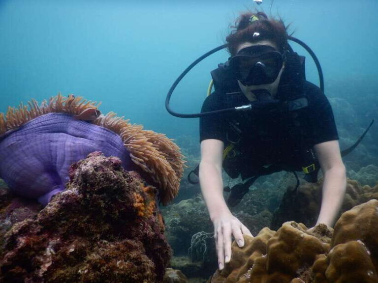[Red River Tours] Luxury Professional Scuba Diving - An In-Depth Look at the Tour Experience