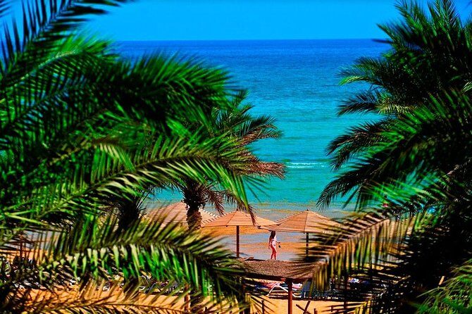 Red sea Day Trip - A Deep Dive into the Red Sea Day Trip