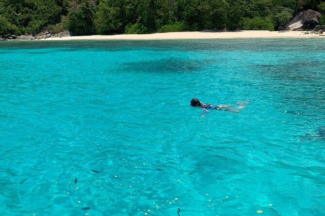 Reef Safari - Snorkeling, Fish Feeding & Lunch (Shared Day Trip) - Exploring the Itinerary Step-by-Step