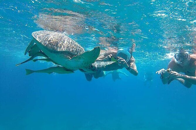Relax and Snorkel at Orange Island Sea Trip In Hurghada - The Luxurious Feel of Orange Island