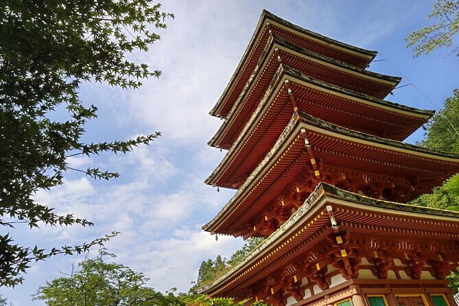 Relaxed Nara tour from Kyoto Hasedera and Muroji Temples - Practical Details and Why They Matter