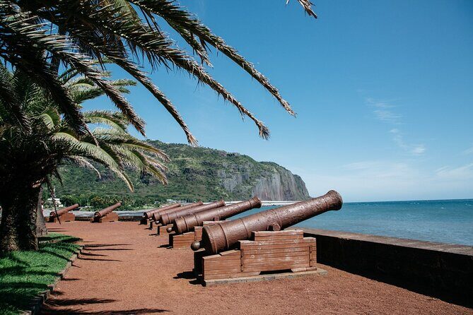Reunion Island: 8-Hour Private Tour Through 8 Inescapable Sites - The Experience: Transportation and Guide