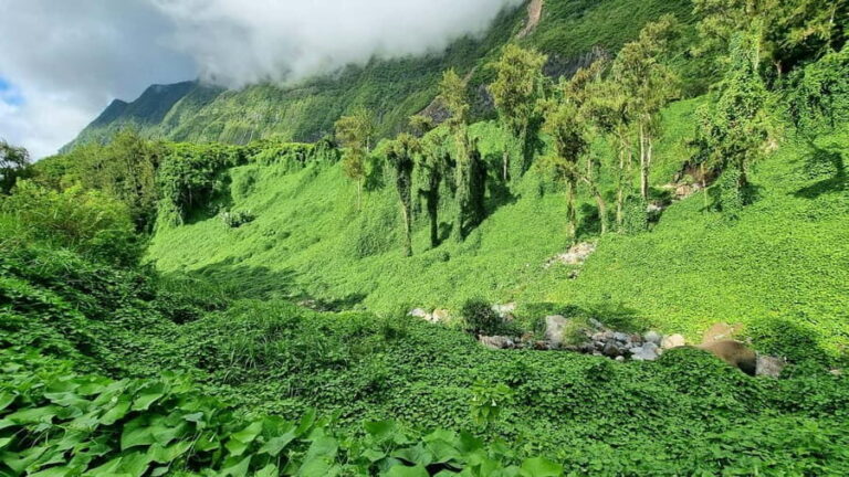 Reunion Island : Guided tour to the Salazie with lunch - Final Thoughts: Who Should Consider This Tour?
