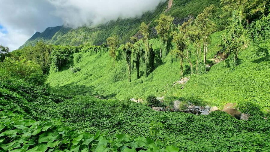 Reunion Island : Guided tour to the Salazie with lunch - Final Thoughts: Who Should Consider This Tour?
